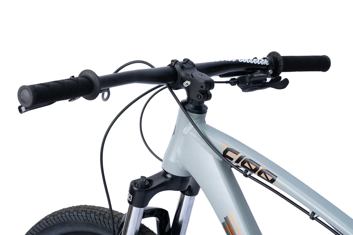 Collective C100 Calypso Grey Bike 29” - Image 5